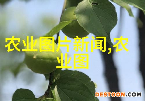 图片资讯--广西新闻网
