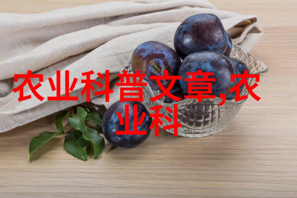 2011年 发表论文统计表