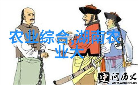 宁夏以数字化赋能农业现代化 创造无限可能