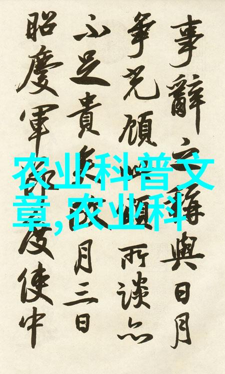 黄淮海夏玉米防除杂草促壮苗-